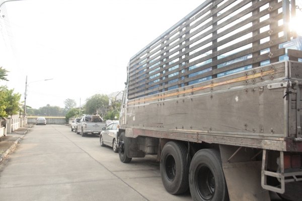 ขายสิบล้อ MITSUBISHI FUSO