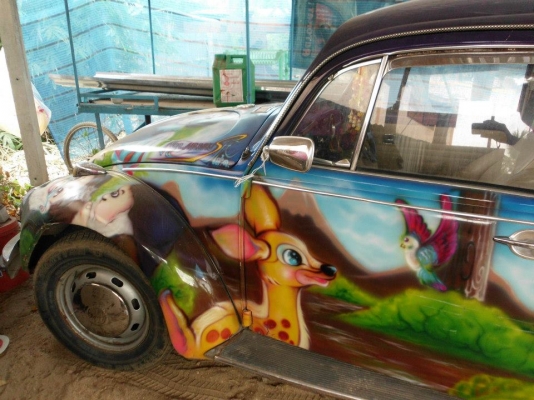 ขายเต่าถูกฯครับ