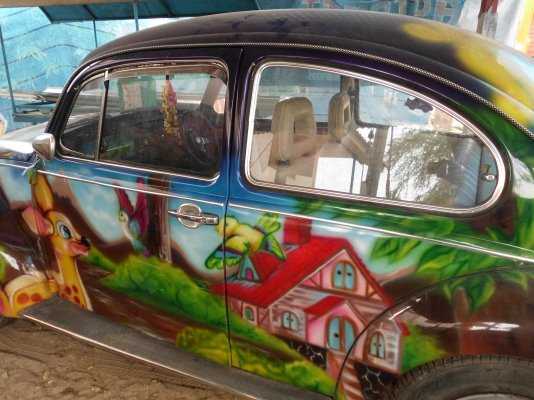 ขายเต่าถูกฯครับ