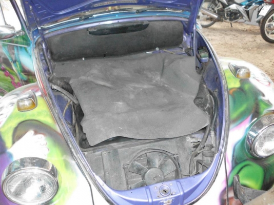 ขายเต่าถูกฯครับ