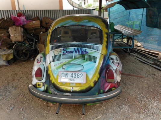 ขายเต่าถูกฯครับ