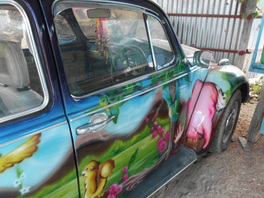 ขายเต่าถูกฯครับ