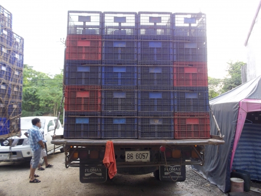 ขาย Isuzu DECA FTR 200