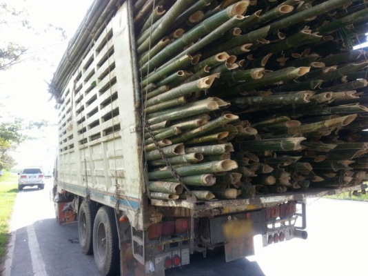 รถฮีโน่ 10 ล้อ รั้ว FL3H 195 แรงม้า. สนใจติดต่อ 081 - 6079515 รถฮีโน่ 10 ล้อ รั้ว FL3H 195 แรงม้า. สนใจติดต่อ 081 - 6079515