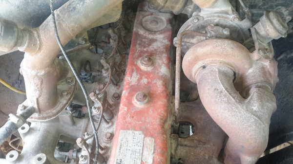 ขายหัวยาวดั้ม ขายหัวยาวดั้ม