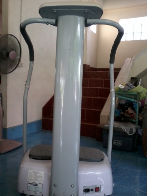 เครื่องออกกําลังกายยืนสั่น WELNESS