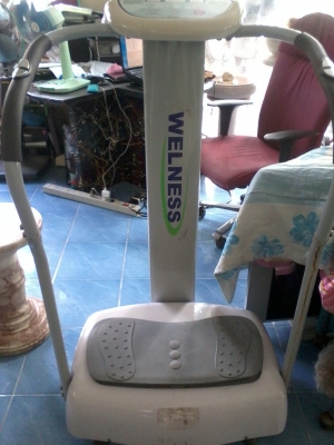 เครื่องออกกําลังกายยืนสั่น WELNESS