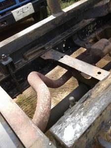 ขายหกล้อดั้มพ์ ISUZU NPR 115 Fหน้าFหลัง ดั้มพ์สามมิตร สภาพพร้อมใช้ ขายหกล้อดั้มพ์ ISUZU NPR 115 Fหน้าFหลัง ดั้มพ์สามมิตร สภาพพร้อมใช้