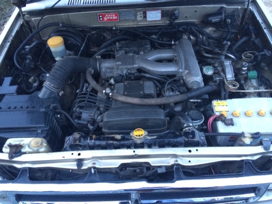 ขาย LN56 ถูกๆ