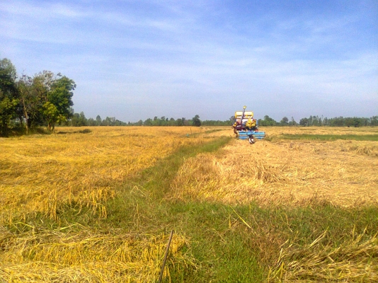 ขายรถเกี่ยวศักดิ์พัฒนาอุ้ม2.5ตันรถเกี่ยวข้าวอยู่สภาพสวยพร้อมใช้งาน