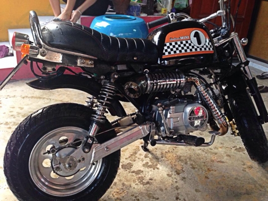 ขายgorilla Stallion