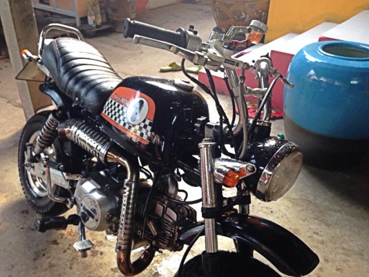 ขายgorilla Stallion