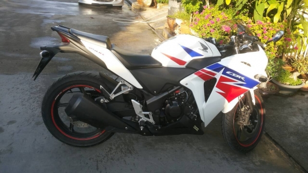 ขาย cbr250 i abs 2013 ขาย cbr250 i abs 2013
