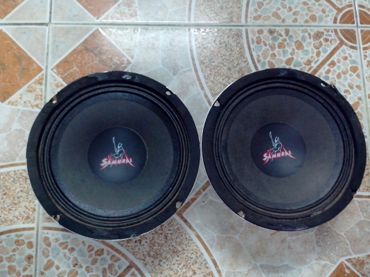 ขายเสียงกลางมือสองสภาพดีราคาถูก 6.5