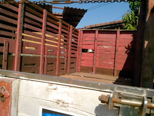 KM779 -wo4d เล่มทะเบียน