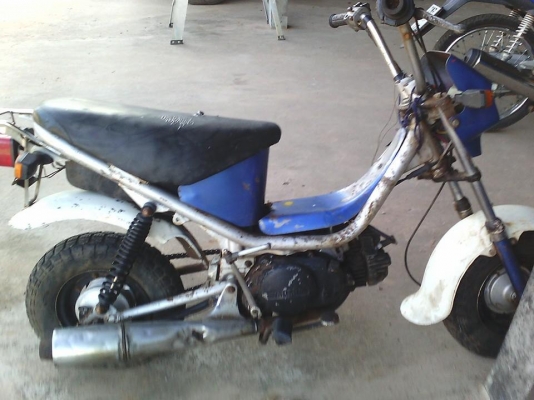 ขายชิปปี้ มาก่อนเอาไปก่อน รถเดิมๆ ตามสภาพ 4800 สุดๆ 0836798716