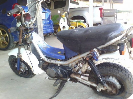 ขายชิปปี้ มาก่อนเอาไปก่อน รถเดิมๆ ตามสภาพ 4800 สุดๆ 0836798716