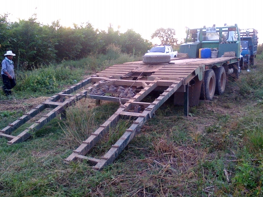 ขาย10ล้อ