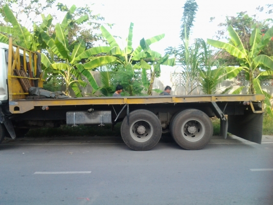 ขายด่วน  ถูกใจขายเลยกะบะะ วิ้งตู้คอนเทเนพื้นเรียบ60000ราคานี้ด่วนคับ