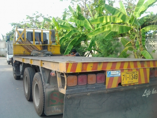 ขายด่วน ถูกใจขายเลยกะบะะ วิ้งตู้คอนเทเนพื้นเรียบ60000ราคานี้ด่วนคับ ขายด่วน ถูกใจขายเลยกะบะะ วิ้งตู้คอนเทเนพื้นเรียบ60000ราคานี้ด่วนคับ