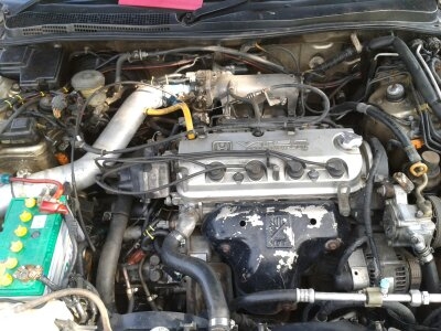 ขาย แอคคอดราคาตัดพ่อค้า ปี 96 ขาย แอคคอดราคาตัดพ่อค้า ปี 96