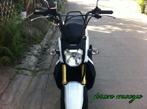ขายHONDA ZOOMER-X สีขาว จด 7 มีนาคม 56 ขายHONDA ZOOMER-X สีขาว จด 7 มีนาคม 56