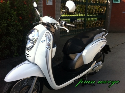ขายHONDA SCOOPY-I สีขาวเทา ปี2556 ขายHONDA SCOOPY-I สีขาวเทา ปี2556