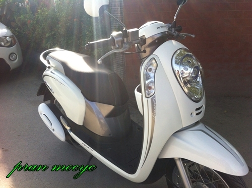ขายHONDA SCOOPY-I สีขาวเทา ปี2556 ขายHONDA SCOOPY-I สีขาวเทา ปี2556