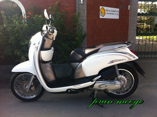 ขายHONDA SCOOPY-I สีขาวเทา ปี2556