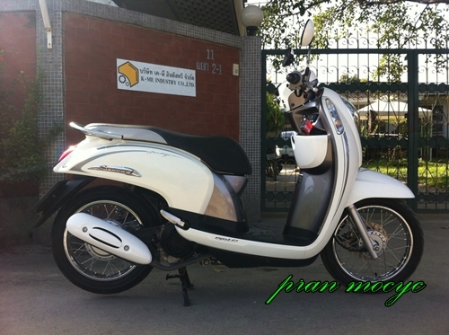 ขายHONDA SCOOPY-I สีขาวเทา ปี2556 ขายHONDA SCOOPY-I สีขาวเทา ปี2556