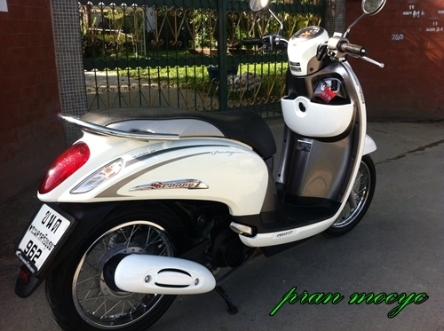 ขายHONDA SCOOPY-I สีขาวเทา ปี2556 ขายHONDA SCOOPY-I สีขาวเทา ปี2556