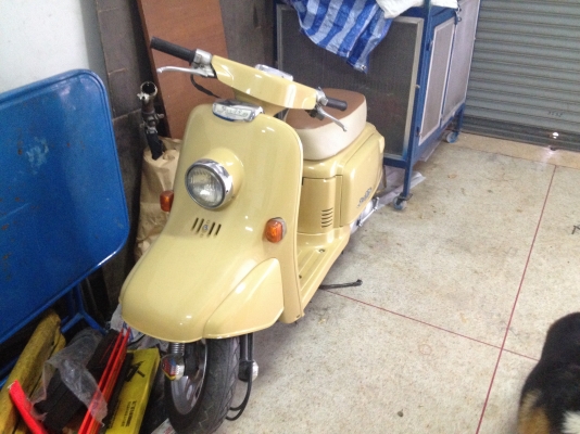Honda Honda