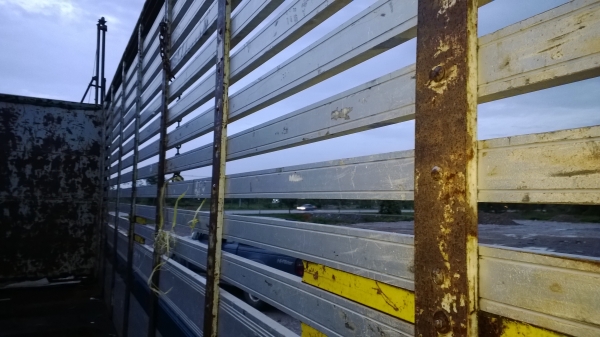 กะบะรั้มมีเนียม ของ ส.เจริญชัย สวยๆยาว7.00ม.สภาพดี ยกลงจาก ISUZU ร็อคกี้