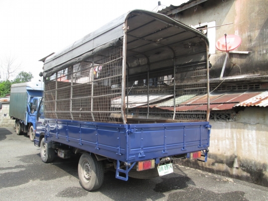 ขาย Isuzu NKR 4ล้อหัวการ์ตูน ไม่ติดเวลา ปี05. ขาย Isuzu NKR 4ล้อหัวการ์ตูน ไม่ติดเวลา ปี05.