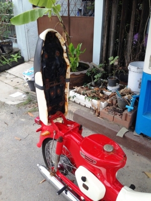 **---ขาย c65y ไฟตก---** Net 25,000 โทรเลย