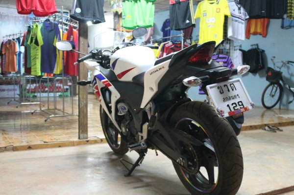 ขายด่วน CBR250 ราคา 95,000 สภาพ 99.99\% ออกมาได้ 1 ปี วิ่ง 1,235 กม. สนใจติดต่อ 0898434588 พี่หมู..