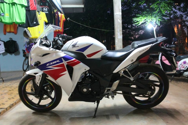 ขายด่วน CBR250 ราคา 95,000 สภาพ 99.99\% ออกมาได้ 1 ปี วิ่ง 1,235 กม. สนใจติดต่อ 0898434588 พี่หมู..
