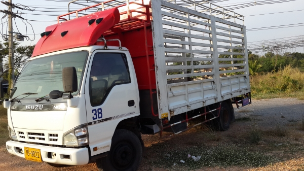 ขาย6ล้อ isuzu  NQR 150แรงม้า ยาว5.5เมตร