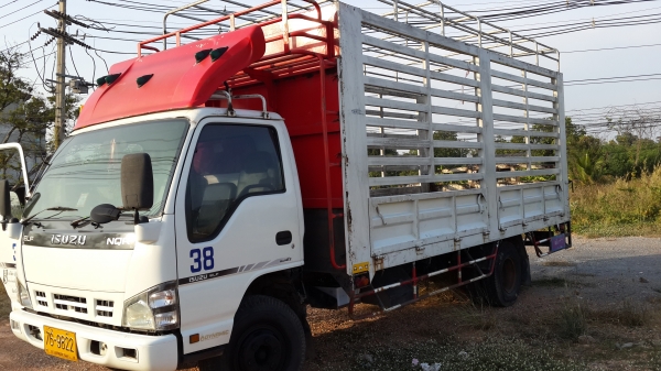ขาย6ล้อ isuzu  NQR 150แรงม้า ยาว5.5เมตร