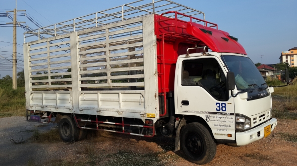 ขาย6ล้อ isuzu  NQR 150แรงม้า ยาว5.5เมตร