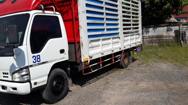ขาย6ล้อ isuzu  NQR 150แรงม้า ยาว5.5เมตร
