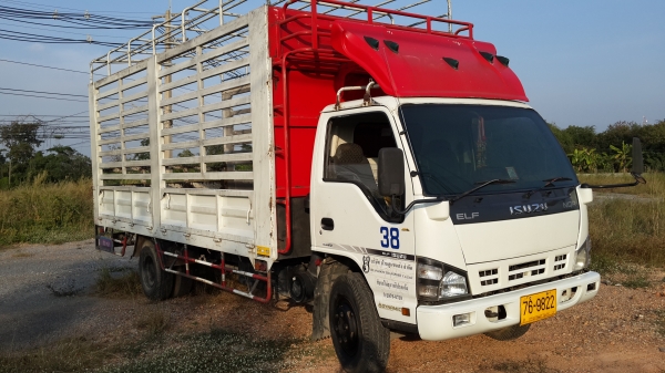 ขาย6ล้อ isuzu  NQR 150แรงม้า ยาว5.5เมตร