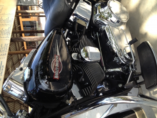 Harley davidson