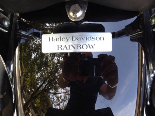 Harley davidson Harley davidson