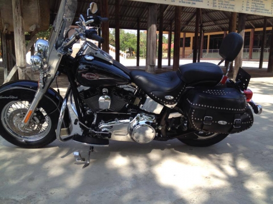 Harley davidson Harley davidson