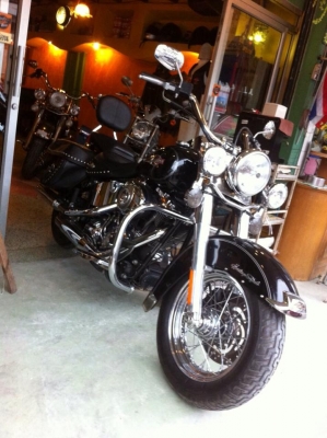 Harley davidson Harley davidson