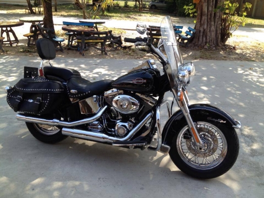 Harley davidson Harley davidson