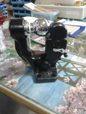 ขาย ขอลากปากนกแก้ว 2 ตัว ขาย ขอลากปากนกแก้ว 2 ตัว