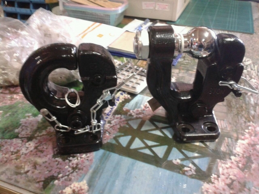 ขาย ขอลากปากนกแก้ว 2 ตัว