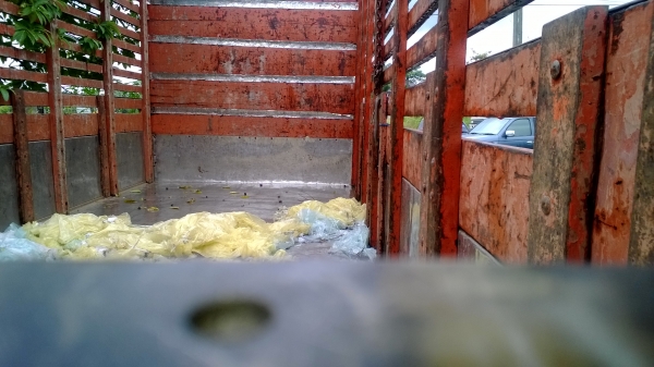 KT925รถ10ล้อเพลาเดียว (หัวเก่าทิ้งใส่หัวใหม่)รถสวย เดิมๆ คัสซีสวย เครื่องสวย ยางสวย เบรคทิฟฟี่.เล่มพร้อม